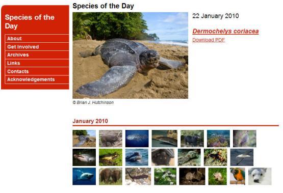 Species of the Day The button goes to a webpage You can get today s