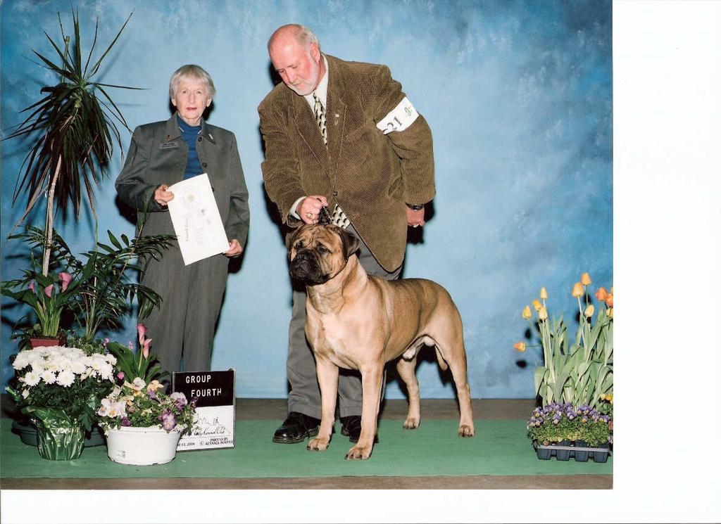 He is now, CH Kinjack's Renegade v Trajan, TD, HIC, TDI, CGC Rand Park's Rally trial on April 26th, Reno (Rott) showed in Rally Novice for the first time.