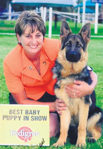 DOG NEWS Australia page 72 They answered A.1. My first Shepherd born 9th Feb.1960. Never been out of the breed since. Chosen breed: initially attracted to their looks and trainability.