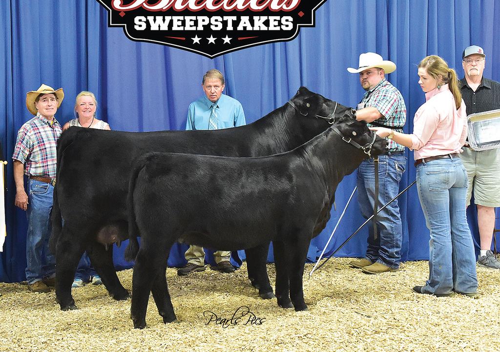 SEweepstakes A mbryo uction This is the 33rd year for the Simmental Breeders Sweepstakes.