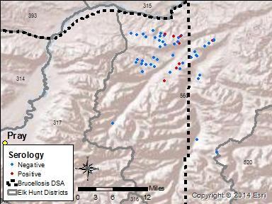 Fine-scale movement data for the Greeley area elk will be available after the GPS collars drop off in April 2016.