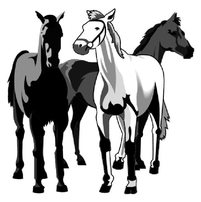 Equine Diseases: Summary