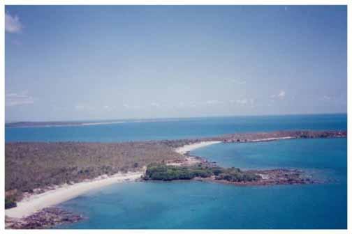 Arnhem -Wessel Marine turtle nesting in the NT Coast Sections 6.37 Not discussed due to small amount of nesting. Coast Section 6.38 Site(s): NW Inglis Is. from 12 01.