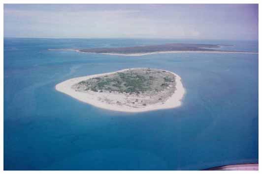 Marine turtle nesting in the NT Groote Coast Section 7.18 Site(s): Nicol Is. group (13 27.1' S, 136 14.7' E). Nicol Island (467 ha) lies just to the east of the Isle Woodah.