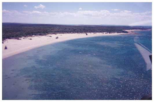 Marine turtle nesting in the NT Pellew Coast Sections 8.8 & 8.9 Not discussed due to relatively insignificant amounts of nesting. Coast Section 8.10 Site(s): Watson Is. (15 33.6' S, 136 49.4' E).