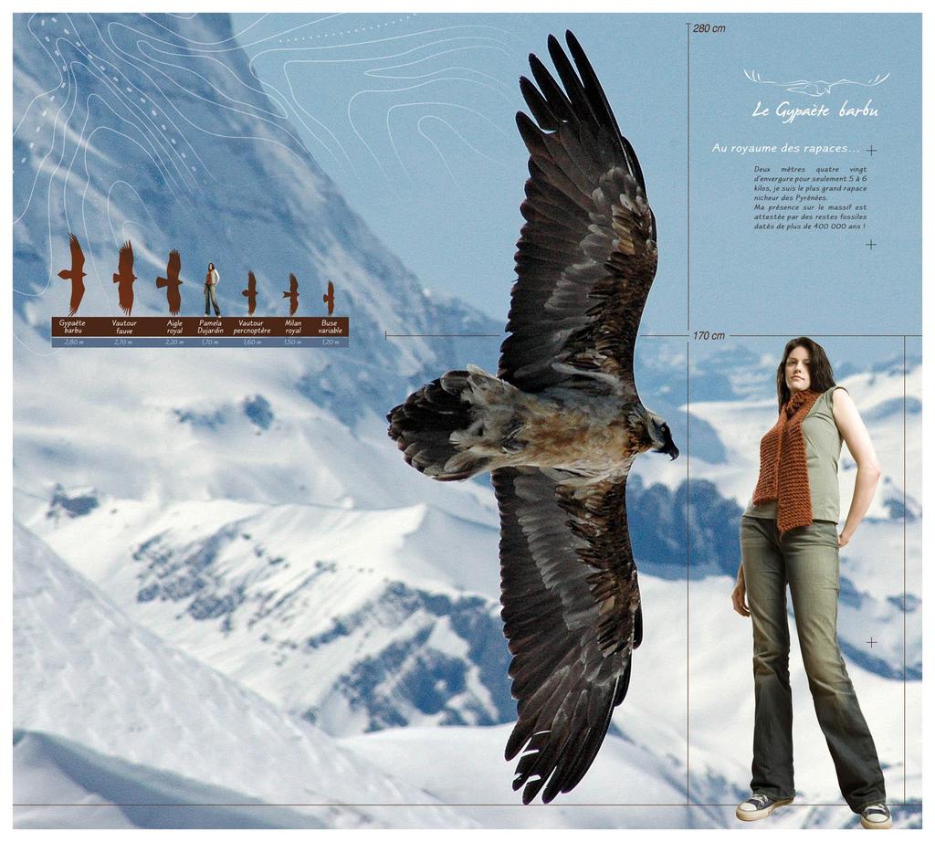 PRESERVING THE BEARDED VULTURE : a new MOU