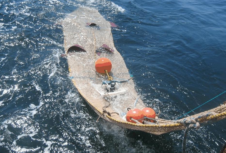 Codend to Reduce Small Shrimps and Juvenile Fish Bycatch Submitted to: The Northeast