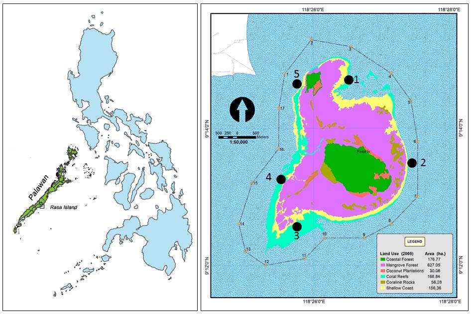 10 SPC Beche-de-mer Information Bulletin #37 March 2017 Materials and methods Study site Rasa Island Wildlife Sanctuary (9 13 21.25 N and 118 26 38.