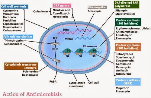 Classes of antibacterial agents Classes of antibacterial agents