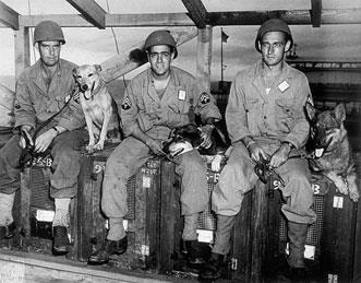 WWII K-9 Unit Hampton Roads, VA Procurement and Training To implement the greatly expanded program, The Quartermaster General ordered the establishment of war dog reception and training centers.