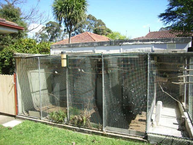 His bird room has ten cabinets, off the bird room he has access to some of his aviaries, a row of five about 1 m x 3.5m.