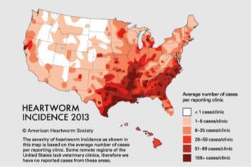 Heartworm Incidence: Private Veterinary Practices Canine Heartworm Disease Prevalence of positive test results Private