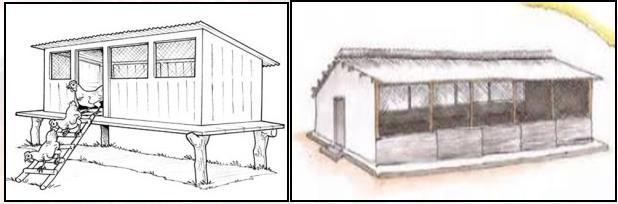 Whether the poultry raised in indoor or outdoor system, make sure the well management, ventilation,
