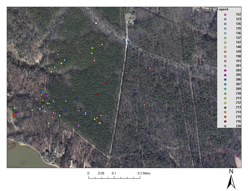 Figure 11. Aerial image of 2009-2010 and 2010-2011 hibernacula locations for the adult (100 series-squares) and juvenile (200-circles) series at the VCU Rice Center.
