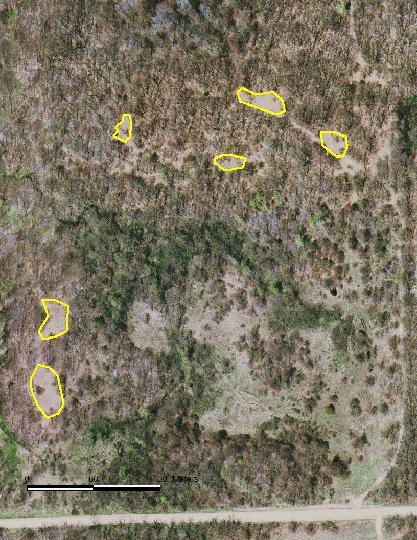 Figure 17a. Forest openings to be actively managed in TA 7.