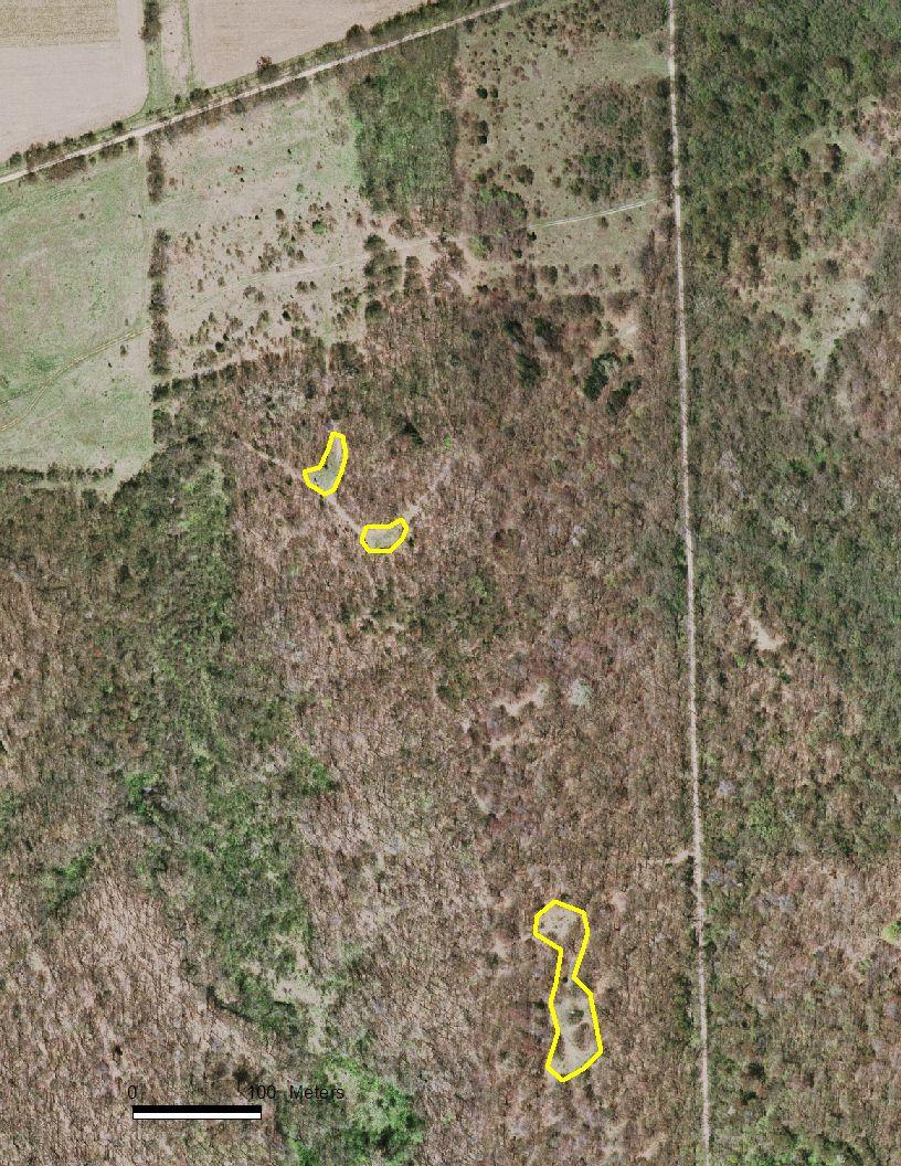 Figure 17b. Forest openings to be actively managed in TA 3.