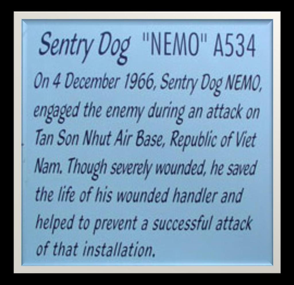 Since, the old dogs were working on basically the same restoration project for Nemo s kennel and his story; we joined forces with the SSD team and agreed to make it a joint effort.