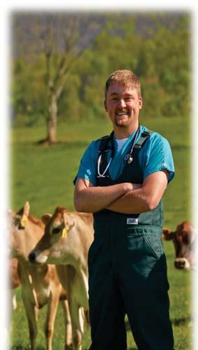 What s different about our study Licensure data purchased Actively practicing in-state veterinarians Methodology used by NCAHD for over 25 years Licensure data cross-checked with