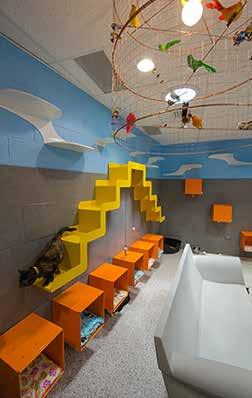 Functional Space Requirements Cats Cat Adoption Room Cats are housed in an
