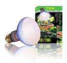 Incandescent Bulbs Exo Terra incandescent bulbs are available in various forms to