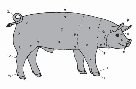 Identifying the pig parts A. B. C. D. E. F. G. H. I.