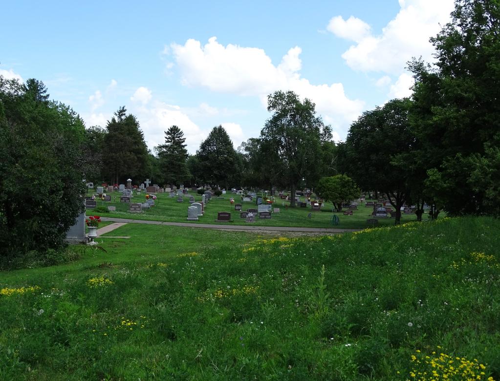 What We Offer Burial Descriptions An in-ground, standard grave site may be used to bury: One casket or one cremation, adult or child/infant A casket