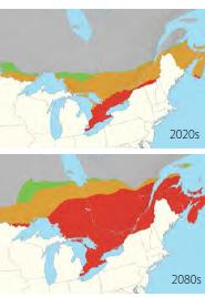 Expansion of blacklegged ticks: Impact of climate change Source: Ogden et al, 2008a Survival
