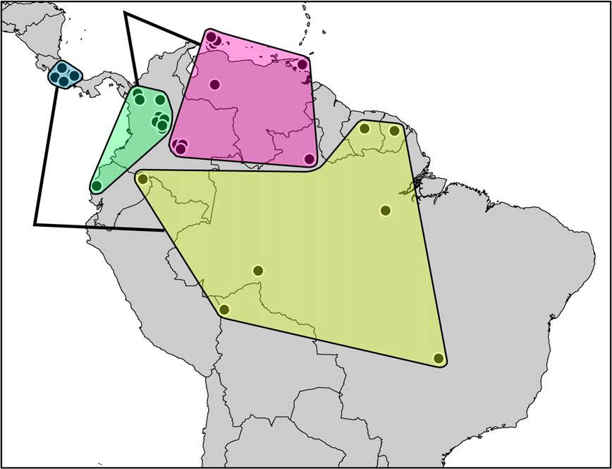 J.M. Daza et al. / Molecular Phylogenetics and Evolution xxx (2009) xxx xxx 13 Fig. 8. Phylogeographic structure of Leptodeira species in Lower Central America and South America.