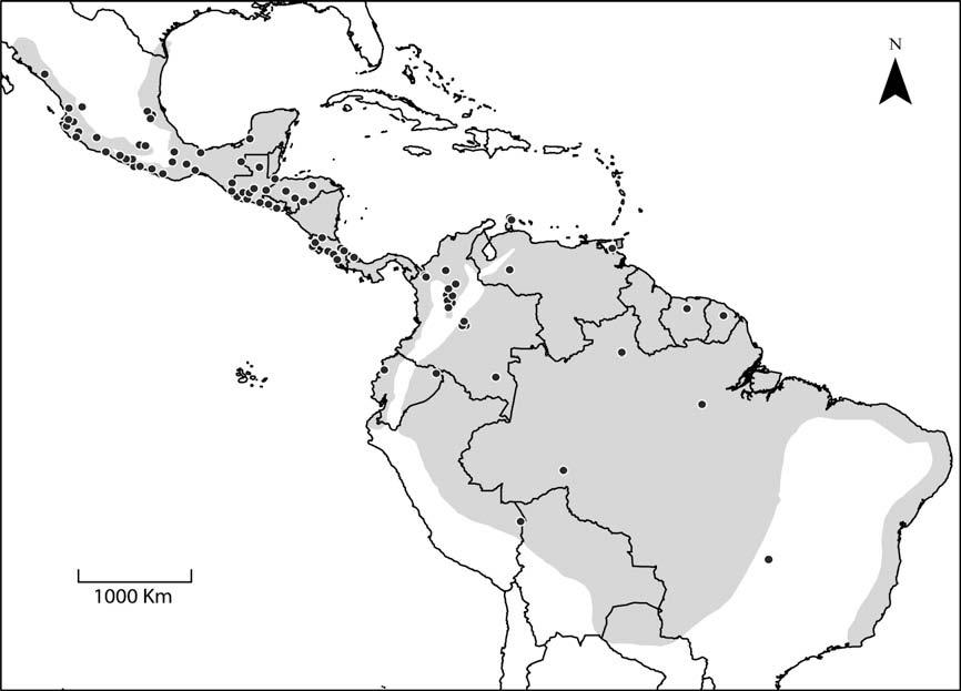J.M. Daza et al. / Molecular Phylogenetics and Evolution xxx (2009) xxx xxx 5 Fig. 2. Geographic distribution of the genus Leptodeira based on Duellman (1958a).