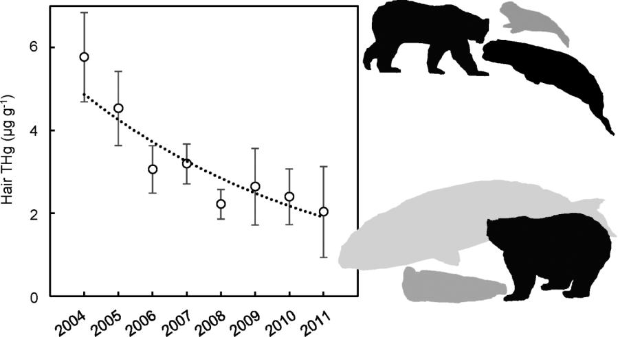 trophic position of prey lower THg concentrations associated with lower