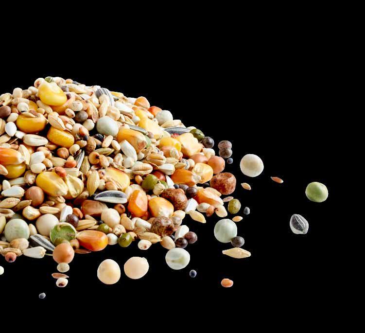 5% Milo 5% Tares 5% Linseed 1% Maria Thistle seed 0.5% Peeled oats 0.5% Hempseed 0.5% Black rapeseed 0.5% Lentils 0.