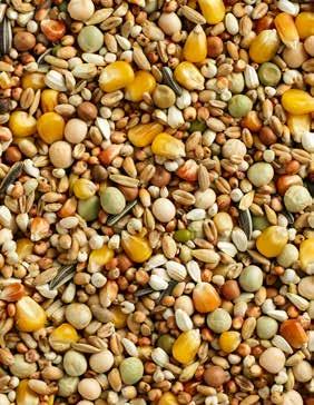 KG Art. N 105404725 Composition Wheat 20.5% Maize French 18.5% Milo 14.