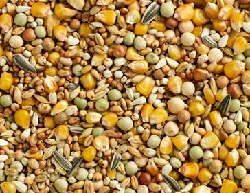 5% Peas yellow 7% Safflower seed 6% Dunpeas 3% Sunflowerseed striped 1%