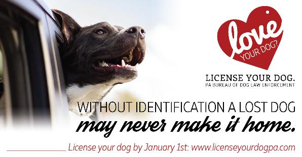 Your best friend s best chance to make it home safely is to be properly licensed. All dogs 3 months of age or older Are required by Pennsylvania law to have a current dog license.