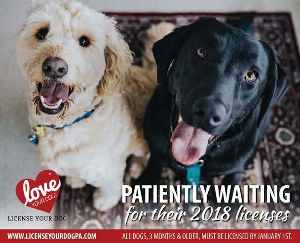 The time has come! 2018 dog licenses are now available, and your pups are patiently waiting!