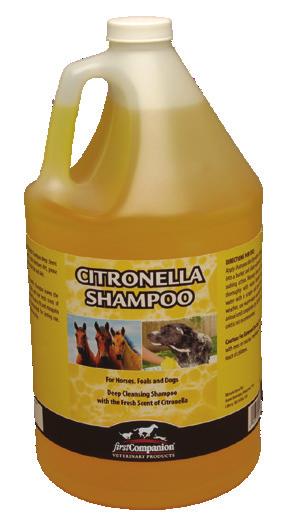 Companion Anti-Fungal Shampoo improves hair texture, enhances color, and rinses easily while removing