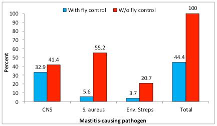 Summer mastitis is an isolated seasonal problem primarily in July, August and September in heifers and dry cows of northern Europe, and may be controlled by insecticidal sprays. In the U.S., fly