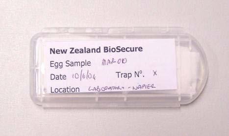 The label should be written in pencil, contain the trap sample number with the collector s initials and the collection date. NB. Larval skins can also be used for species identification. 7.