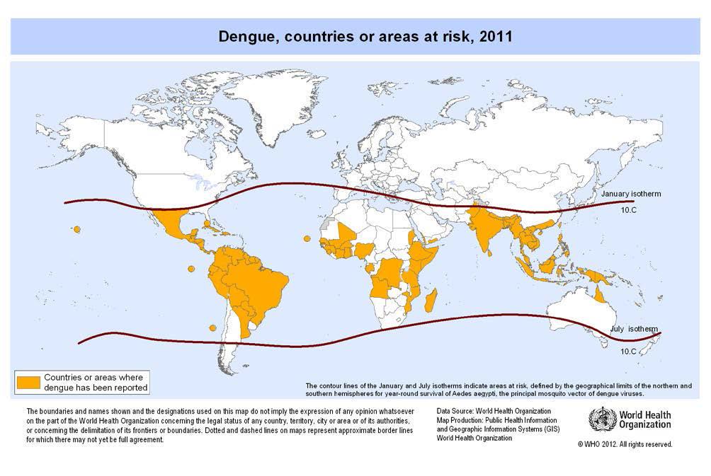 Despite poor surveillance for dengue in Africa, epidemic dengue fever caused by all four serotypes has increased dramatically since 1980.