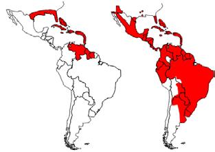In the Americas, because of the threat of outbreaks of urban yellow fever, a hemisphere widespread eradication campaign was started in 1947.
