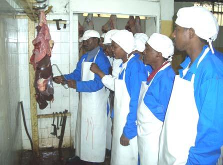 Fig. 75: Practical training in meat inspection: Veterinary authorities in an African country organized national training courses in 2007.