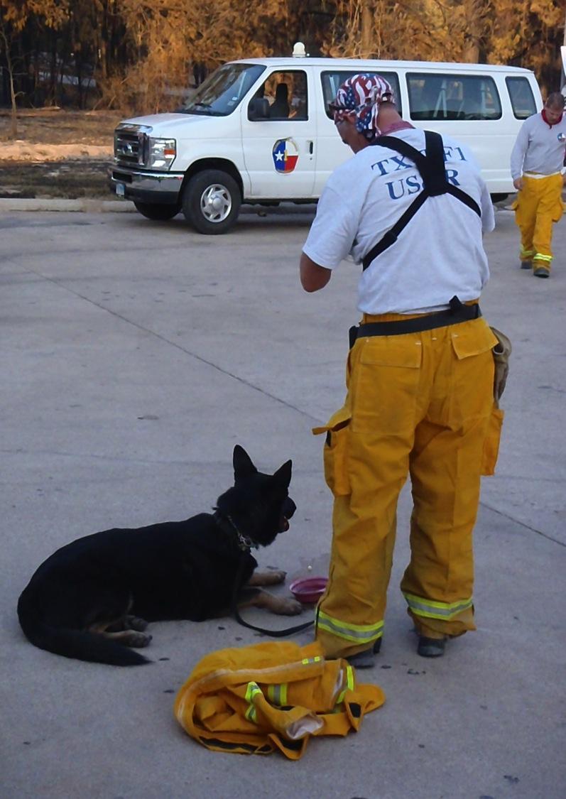 TxTF-1 S&R Canines were ready to deploy they had