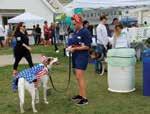 Special Events and Community Outreach We sponsored and handed out informational literature at the Virginia Beach SPCA s annual Mutt Masquerade 5K & 1-Mile Walk.