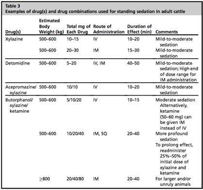 1 mg/kg) gives short-term chemical restraint with recumbency in cows Duration: up to 30 minutes Animals usually stand up 60 minutes after drug-combo administration Lowering xylazine dose and