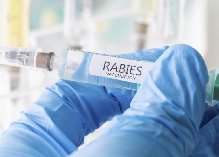 The rabies vaccination A vaccinated person already has a certain degree of immunity to the disease.