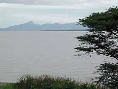 Rural disease The green and fertile banks of Lake Awasa in Ethiopia's