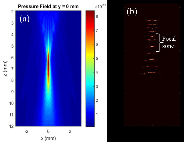 38 Theoretical and technical background Fig. 2.7. (a) Simulated sensitivity field of the focused detector. (b) Optoacoustic image of a 10 µm suture measured at different depth. 2.3.3 Image display approaches For optoacoustic endoscopy, the image reconstruction method is determined by the scanning geometries.