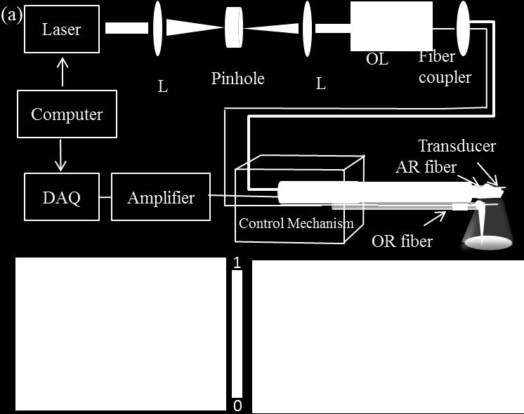 24, USA; 12 bit resolution; max sampling rate 4 GS s). Fig. 3.5. (a) Schematic illustration of the imaging setup with alignment of various modules; Abbreviations: L, Lens; OL, objective lens.