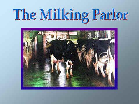 Where are cows milked?