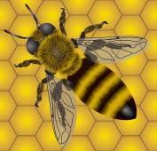 Recent actions by the European Commission concerning bee health European